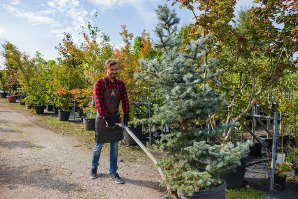 Tree Removal for Businesses in Lisbon, ME